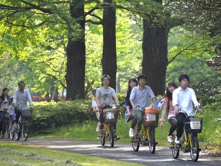 🌳 쇼와의 숲(쇼와노모리) 이미지 3